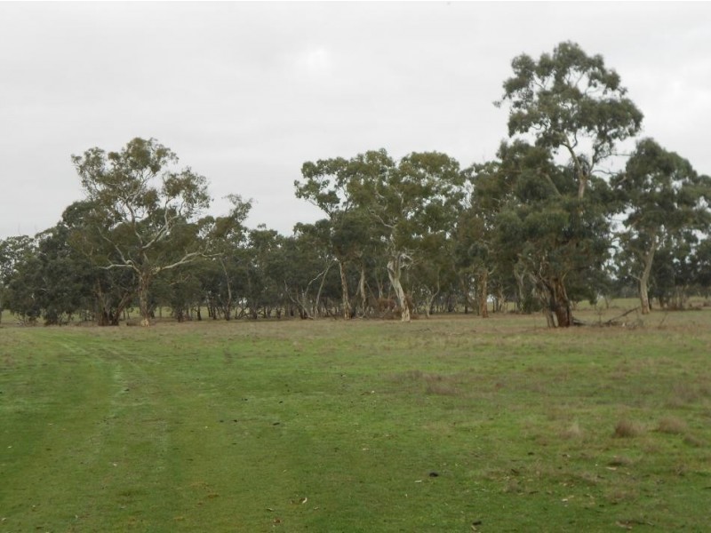 536 My Mi Mi Road, Western Flat SA 5268