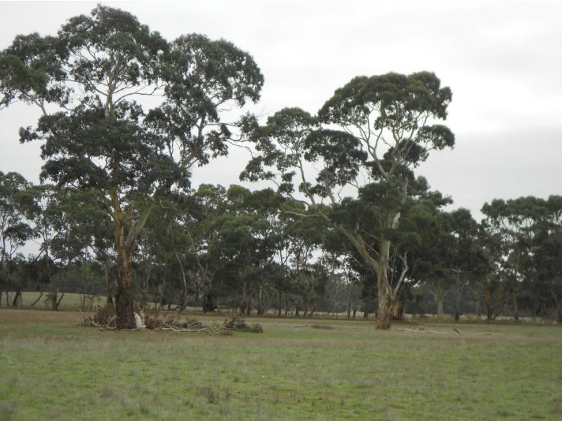 536 My Mi Mi Road, Western Flat SA 5268