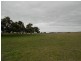 Pt Lot 10 Judd Road, Tintinara SA 5266