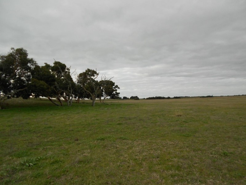 Pt Lot 10 Judd Road, Tintinara SA 5266