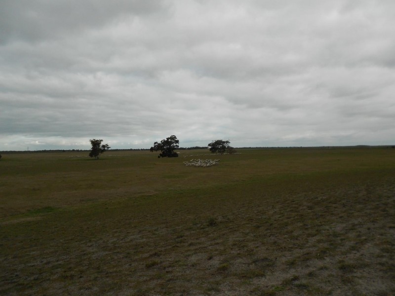 Pt Lot 10 Judd Road, Tintinara SA 5266