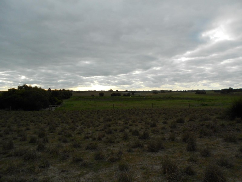 Pt Lot 10 Judd Road, Tintinara SA 5266