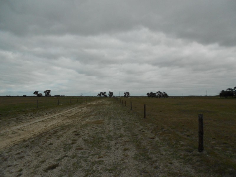 Pt Lot 10 Judd Road, Tintinara SA 5266