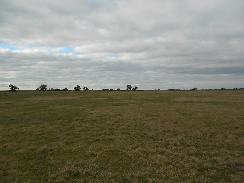 Pt Lot 10 Judd Road, Tintinara SA 5266