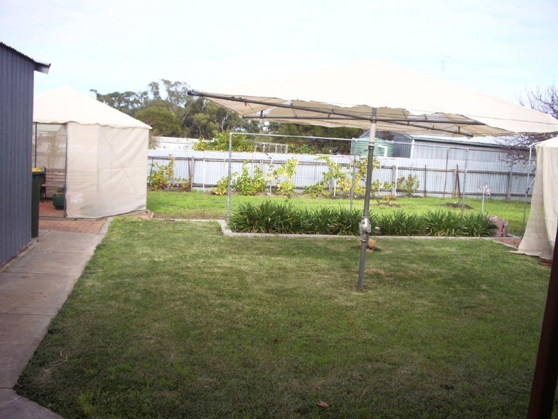 50 Venn Avenue, Bordertown SA 5268