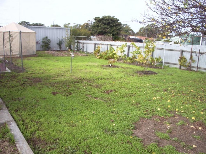 50 Venn Avenue, Bordertown SA 5268