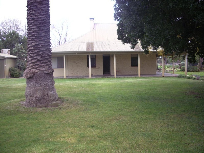 764 Cannawigara Road, Bordertown SA 5268