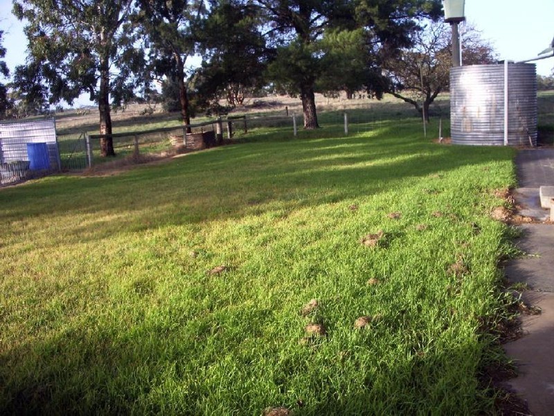 693 Bangham Road, Bordertown SA 5268