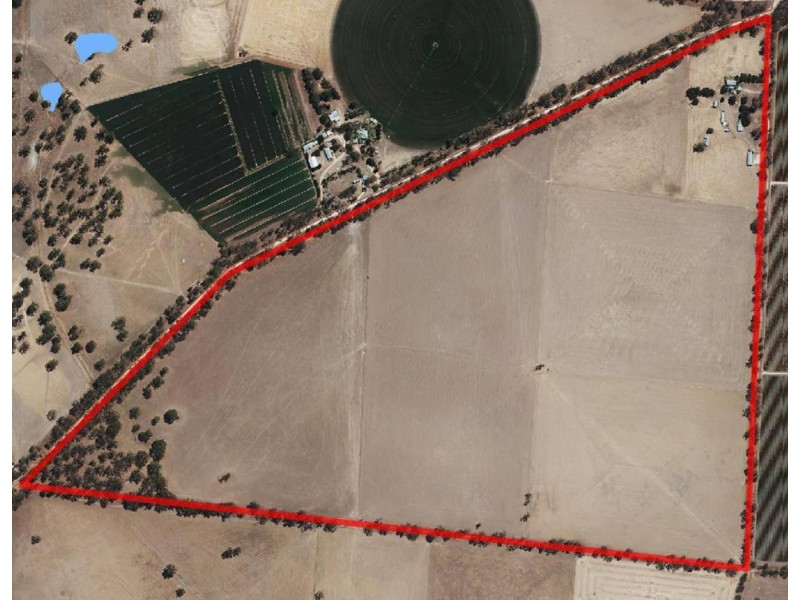 3 Goodridge Road, Mundulla SA 5270