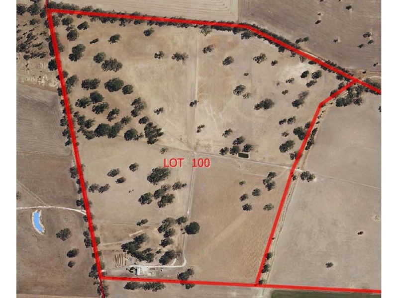 298 Golf Course Road, Bordertown SA 5268