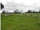 298 and 101 Golf Course and Finlayson, Bordertown SA 5268