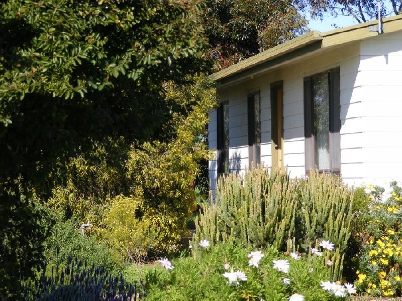 46 Punjum Road, Mundulla SA 5270