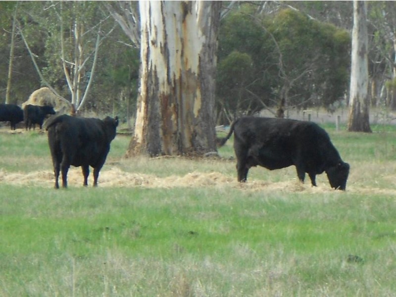 17 Miles Road, Hynam SA 5262