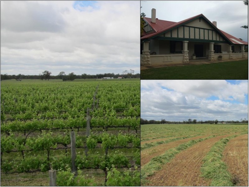 50 The Mile Lane, Mundulla SA 5270