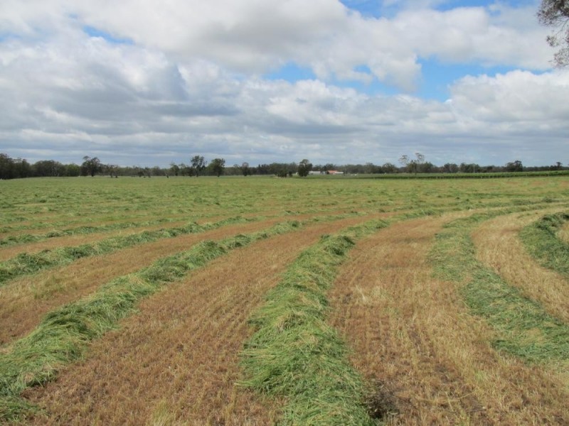 50 The Mile Lane, Mundulla SA 5270