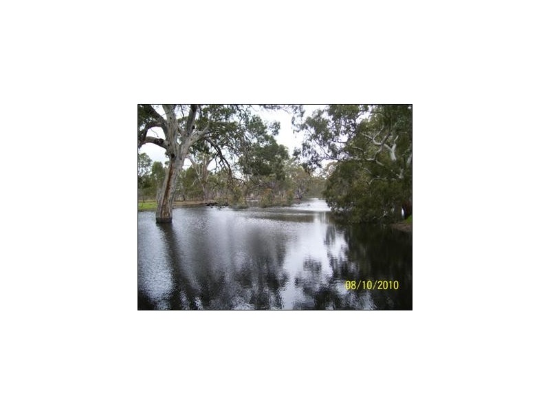 50 The Mile Lane, Mundulla SA 5270