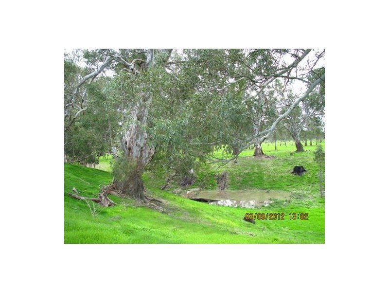 50 The Mile Lane, Mundulla SA 5270