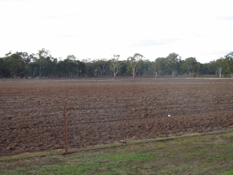 50 The Mile Lane, Mundulla SA 5270