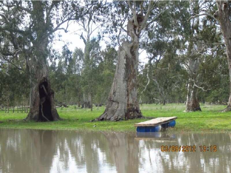 50 The Mile Lane, Mundulla SA 5270