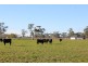 1760 Cadgee Road, Naracoorte SA 5271
