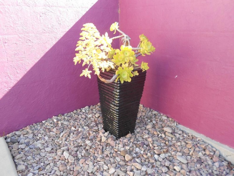 14 Arthur Street, Penola SA 5277