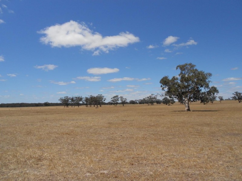 193 Dunstall Road, Bangham SA 5268