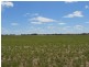 193 Dunstall Road, Bangham SA 5268