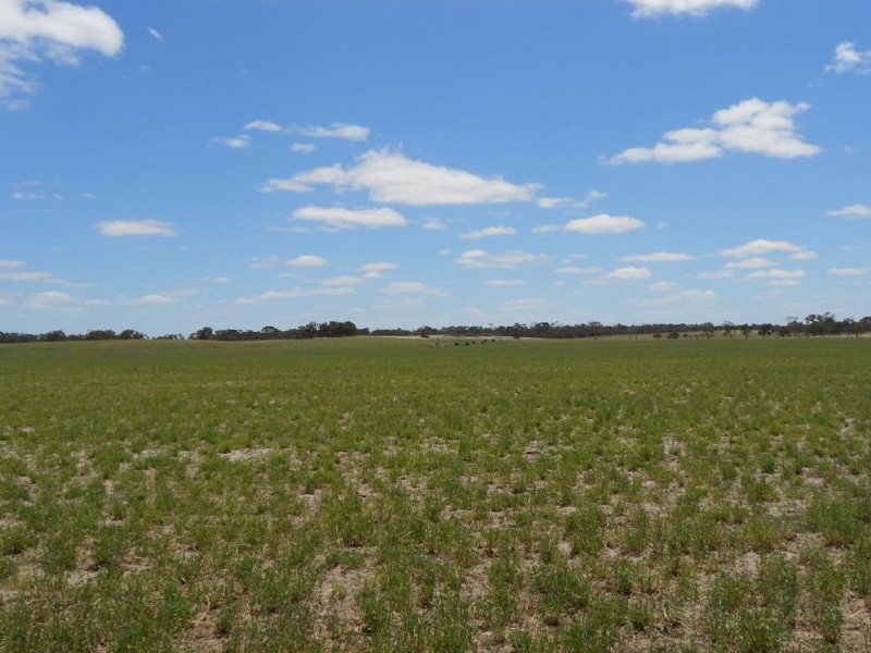 193 Dunstall Road, Bangham SA 5268