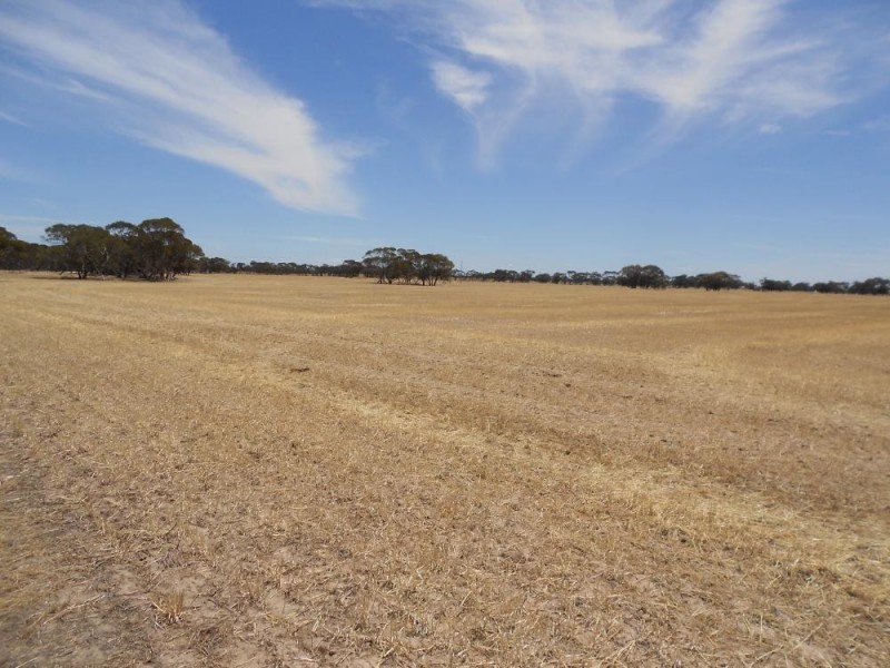 4703 Emu Flat Road, Bordertown SA 5268