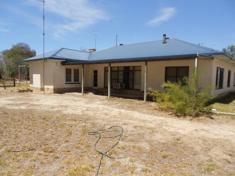 4703 Emu Flat Road, Bordertown SA 5268
