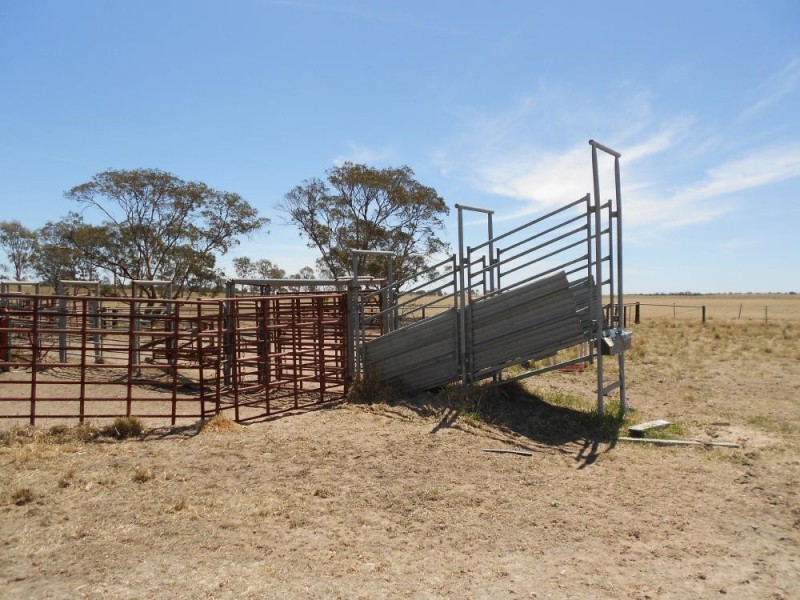 4703 Emu Flat Road, Bordertown SA 5268