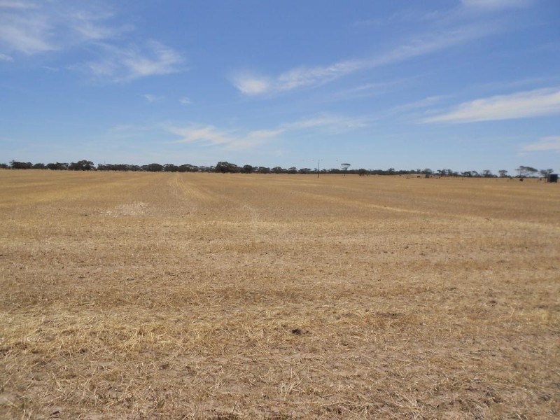 4703 Emu Flat Road, Bordertown SA 5268