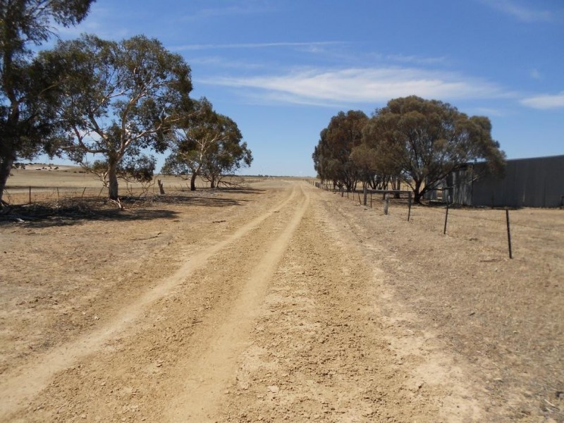 4703 Emu Flat Road, Bordertown SA 5268