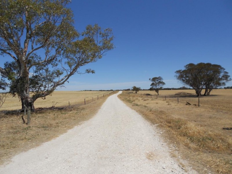 4703 Emu Flat Road, Bordertown SA 5268