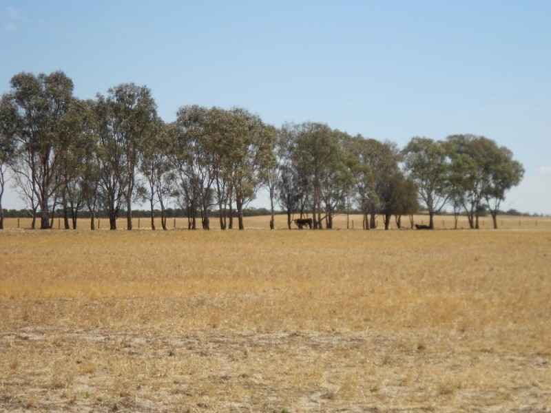 4703 Emu Flat Road, Bordertown SA 5268