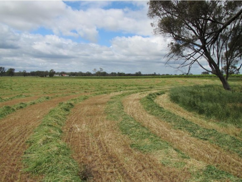 220 acres The Mile Lane, Mundulla SA 5270