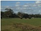 220 acres The Mile Lane, Mundulla SA 5270