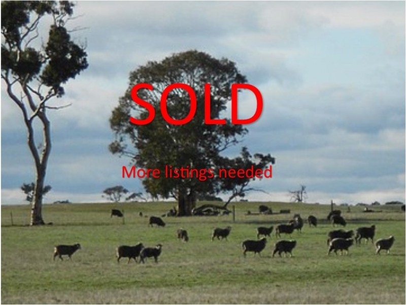 343 Cooper Road, Bordertown South SA 5268