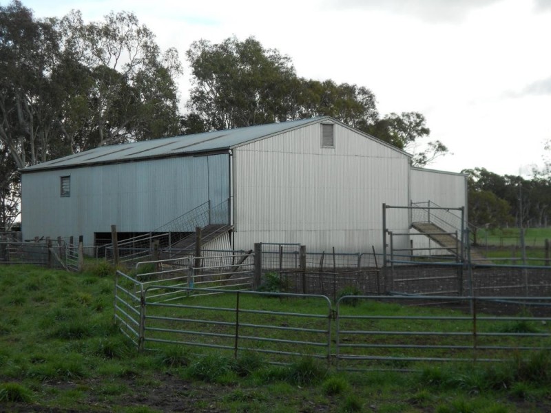 343 Cooper Road, Bordertown South SA 5268