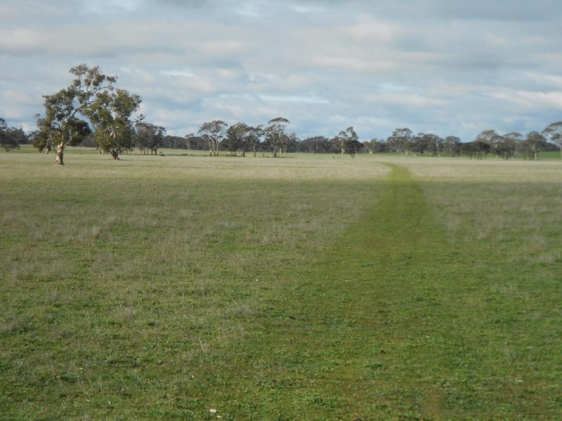 343 Cooper Road, Bordertown South SA 5268