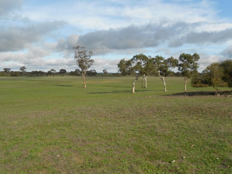 343 Cooper Road, Bordertown South SA 5268