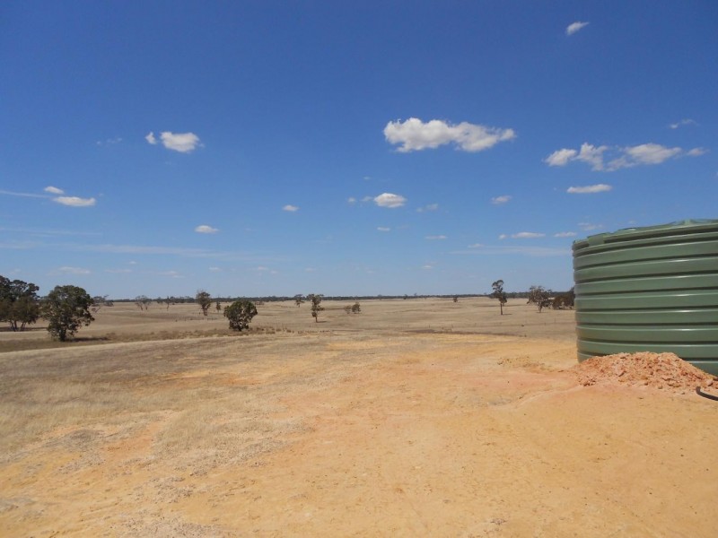 343 Cooper Road, Bordertown South SA 5268