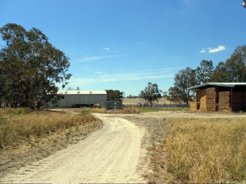 343 Cooper Road, Bordertown South SA 5268