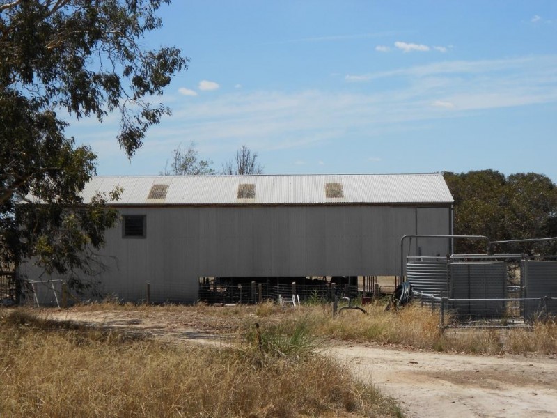 343 Cooper Road, Bordertown South SA 5268