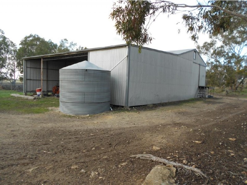 343 Cooper Road, Bordertown South SA 5268