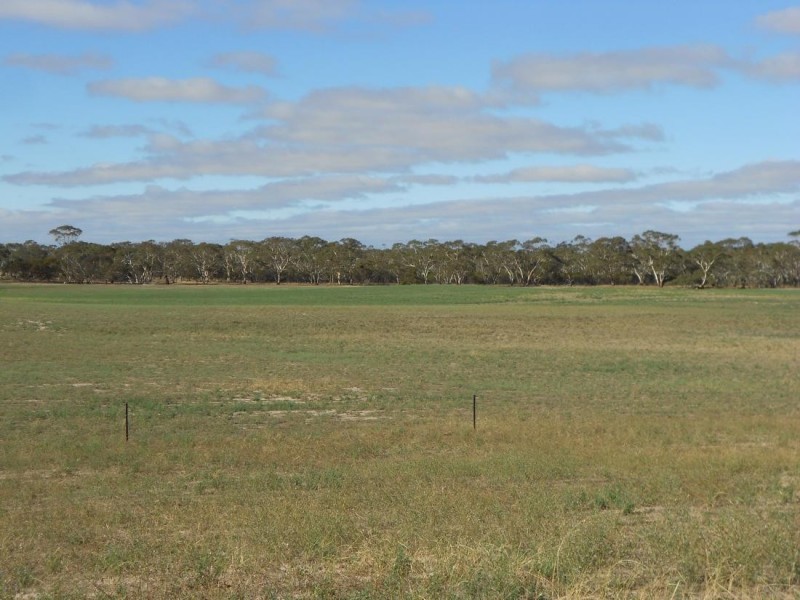 966 Pine Hill Road, Bordertown SA 5268