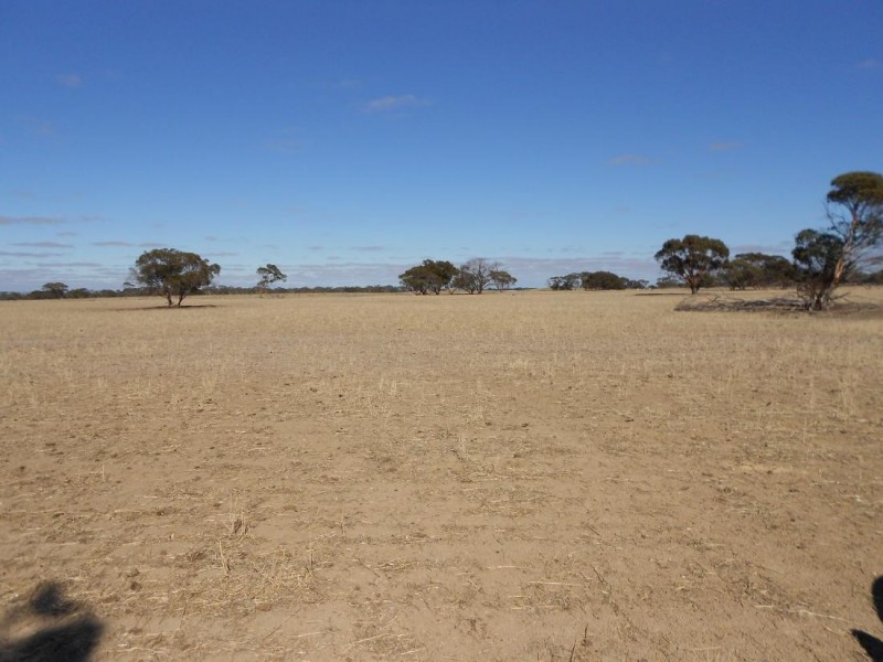 966 Pine Hill Road, Bordertown SA 5268