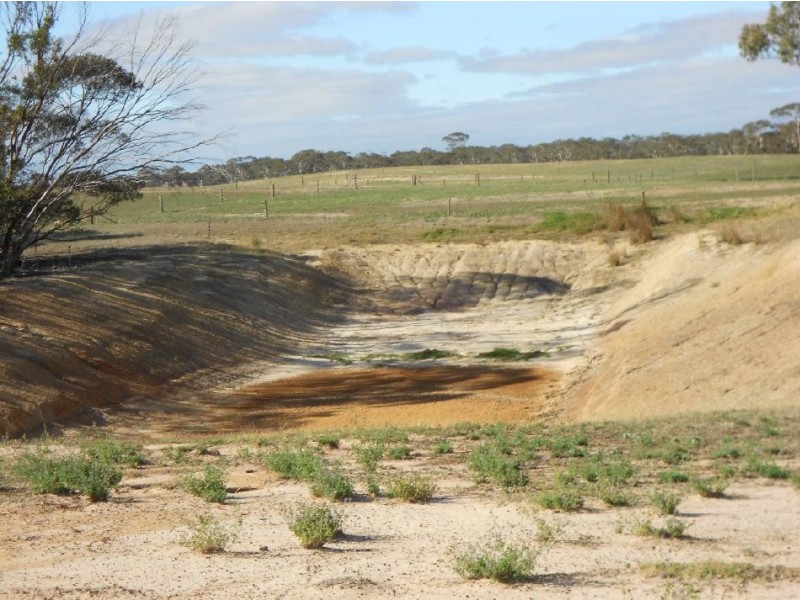 966 Pine Hill Road, Bordertown SA 5268