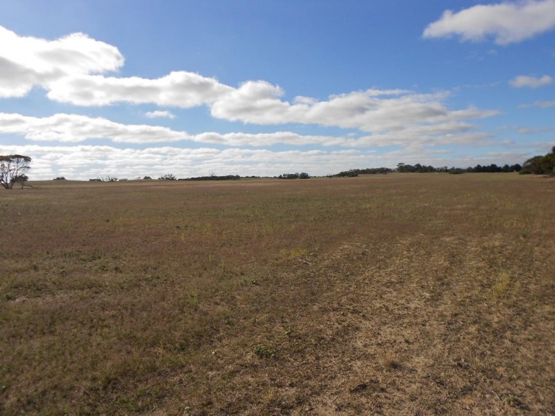 966 Pine Hill Road, Bordertown SA 5268