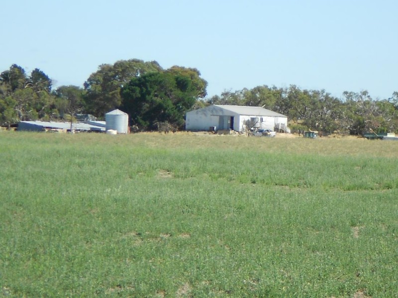 966 Pine Hill Road, Bordertown SA 5268